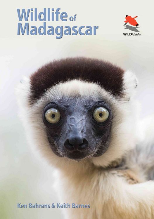 Produktbild: Wildlife of Madagascar