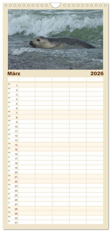 Produktbild: Familienplaner 2026 - Das Leben der Robben mit 5 Spalten (Wandkalender, 21 x 45 cm) CALVENDO