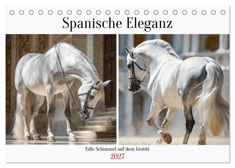 Produktbild: Spanische Eleganz. Edle Schimmel auf dem Gest&uuml;t (Tischkalender 2027 DIN A5 quer), CALVENDO Monatskalender