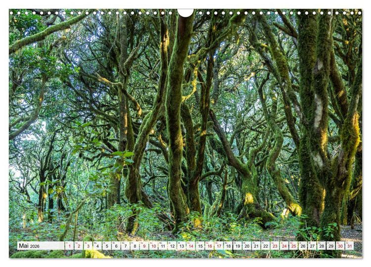Produktbild: Kanarische Inseln: La Gomera (Wandkalender 2026 DIN A3 quer), CALVENDO Monatskalender