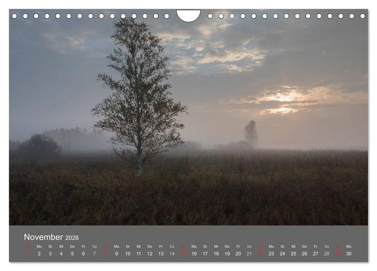 Produktbild: Der Federsee - Vogelparadies in Oberschwaben (Wandkalender 2026 DIN A4 quer), CALVENDO Monatskalender