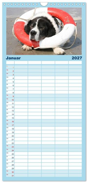 Produktbild: Familienplaner 2027 - Landseer - Das Wasser ist ihr Element mit 5 Spalten (Wandkalender, 21 x 45 cm) CALVENDO