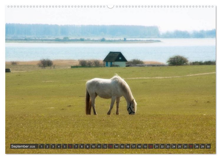 Produktbild: Insel Hiddensee (Wandkalender 2026 DIN A2 quer), CALVENDO Monatskalender