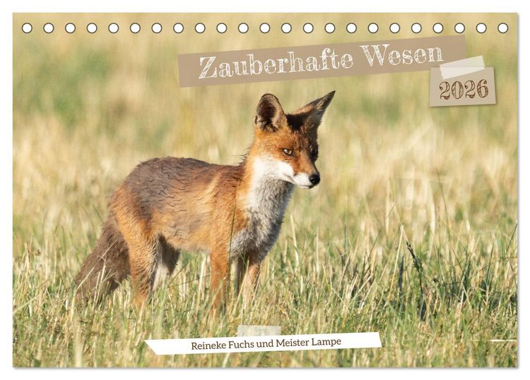 Produktbild: Zauberhafte Wesen - Reineke Fuchs und Meister Lampe (Tischkalender 2026 DIN A5 quer), CALVENDO Monatskalender