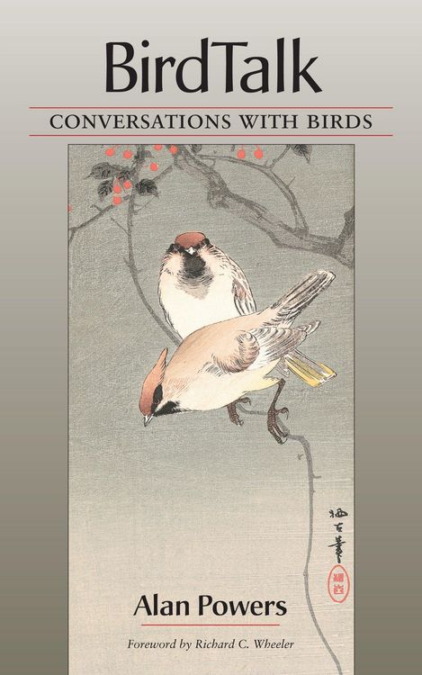 Produktbild: Birdtalk
