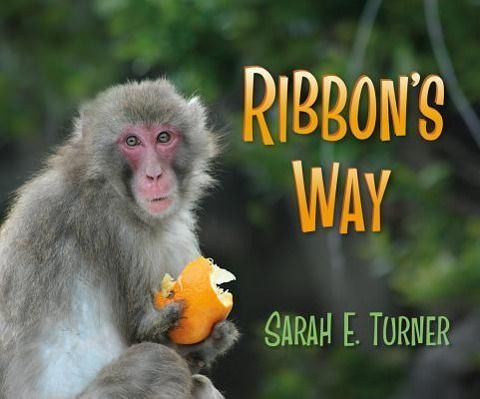 Produktbild: Ribbon's Way