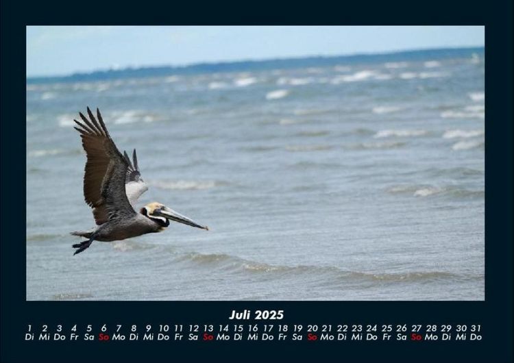 Produktbild: Naturlandschaften 2025 Fotokalender DIN A4