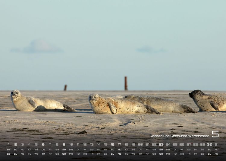 Produktbild: Nordsee &ndash; K&uuml;stenzauber - 2027 - Kalender DIN A3