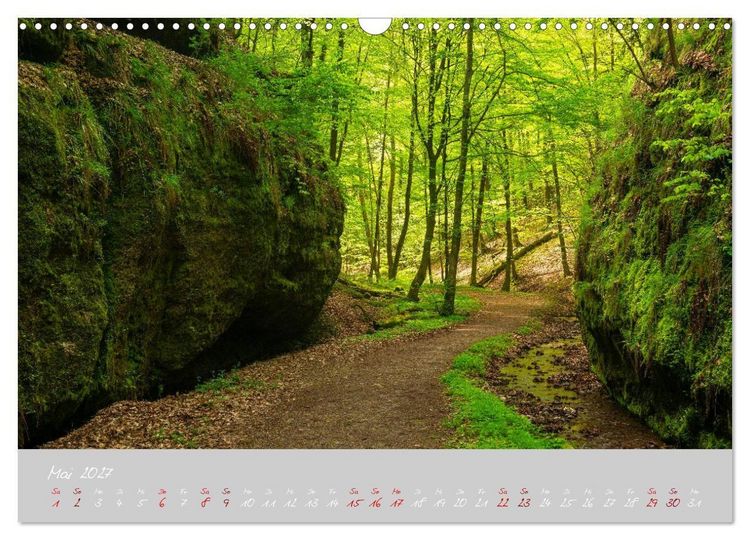 Produktbild: Th&uuml;ringer Wald Das Gr&uuml;ne Herz Deutschlands (Wandkalender 2027 DIN A3 quer), CALVENDO Monatskalender