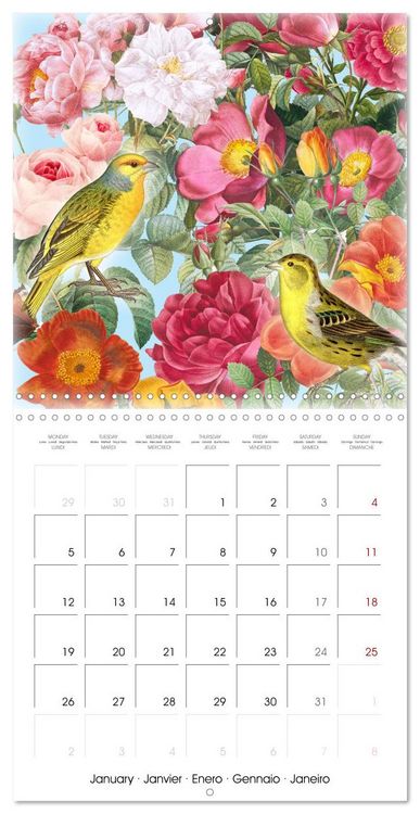 Produktbild: Dans le jardin de Monsieur Pierre-Joseph Redout&eacute; (Calendrier mural carr&eacute; 2026 30x30 cm) Calendrier double avec une page pour vos prises de notes