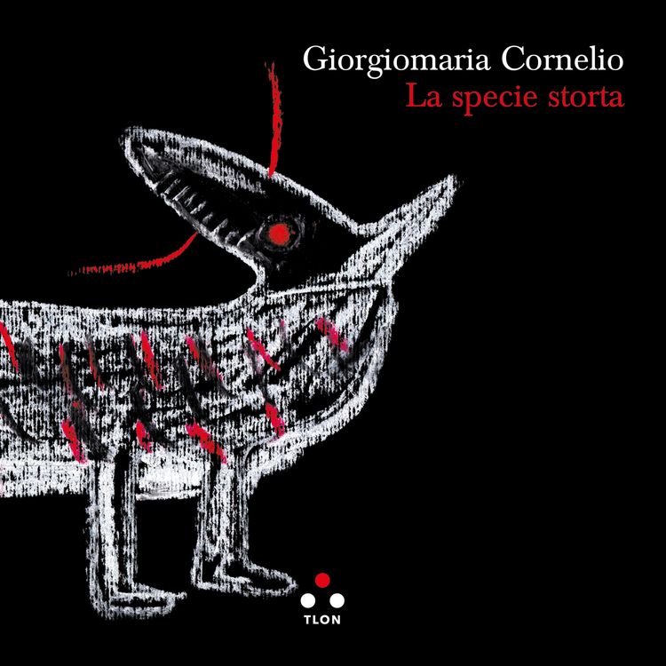 Produktbild: La specie storta