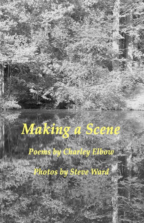 Produktbild: Making a Scene