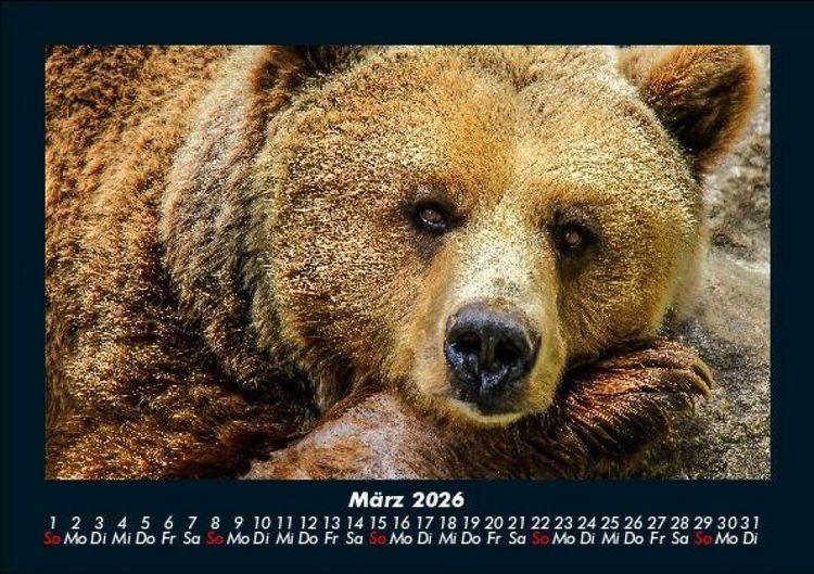 Produktbild: Der Tierkalender 2026 Fotokalender DIN A5