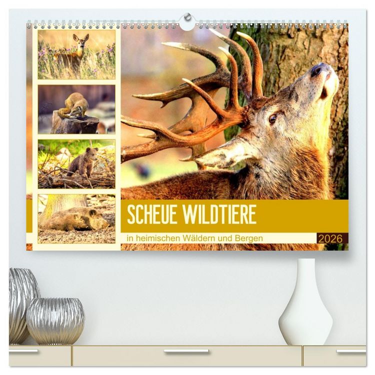 Produktbild: Scheue Wildtiere in heimischen W&auml;ldern und Bergen (hochwertiger Premium Wandkalender 2026 DIN A2 quer), Kunstdruck in Hochglanz