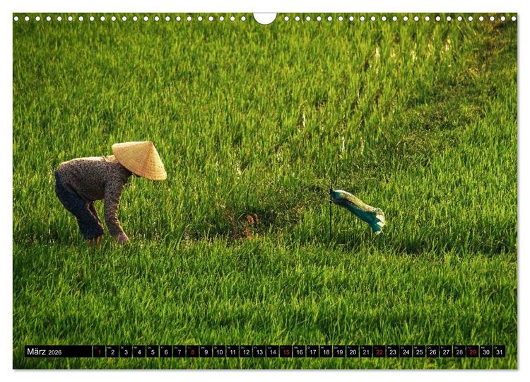 Produktbild: VIETNAM - Von Saigon nach Hanoi (Wandkalender 2026 DIN A3 quer), CALVENDO Monatskalender