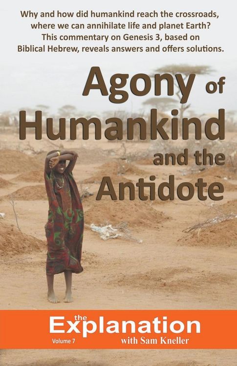 Produktbild: Agony of Humankind and the Antidote