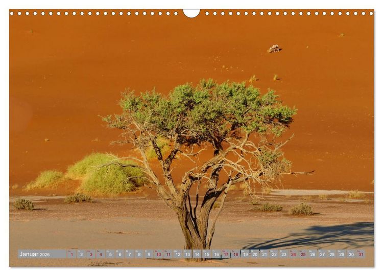 Produktbild: Namibia &ndash; Auf dem Weg ins Sossusvlei (Wandkalender 2026 DIN A3 quer), CALVENDO Monatskalender