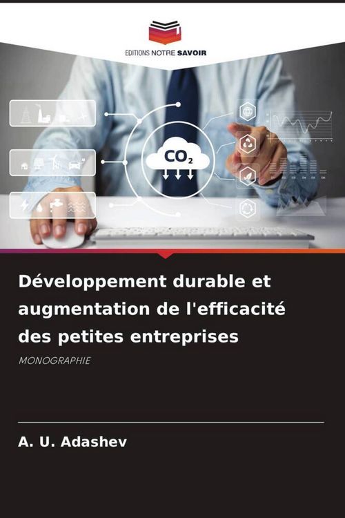 Produktbild: D&eacute;veloppement durable et augmentation de l'efficacit&eacute; des petites entreprises