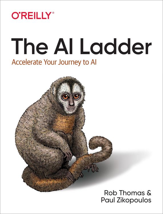 Produktbild: AI Ladder
