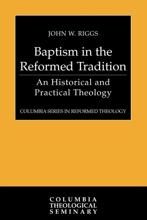 Produktbild: Baptism in the Reformed Tradition