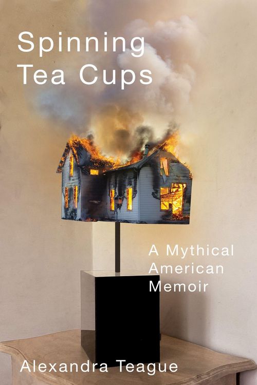 Produktbild: Spinning Tea Cups