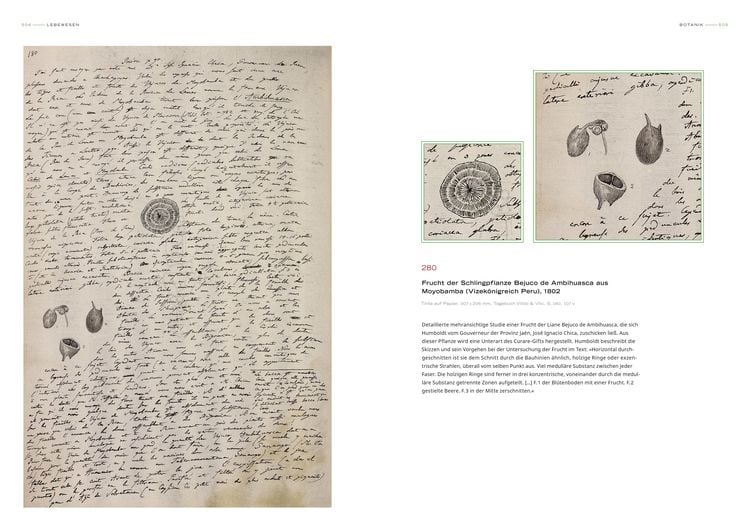 Produktbild: Alexander von Humboldt - Bilder-Welten