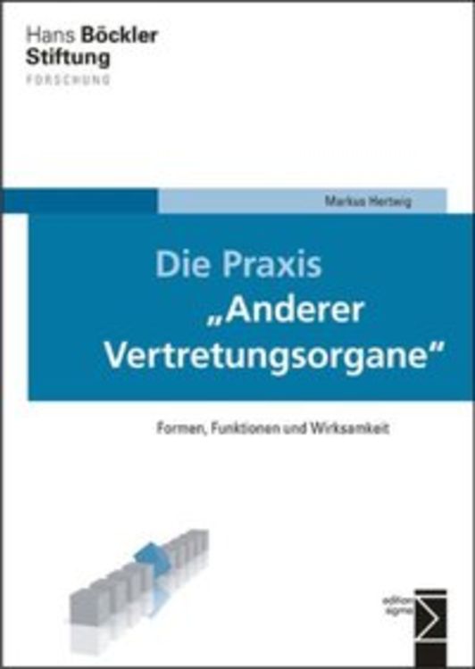 Produktbild: Die Praxis &raquo;Anderer Vertretungsorgane&laquo;