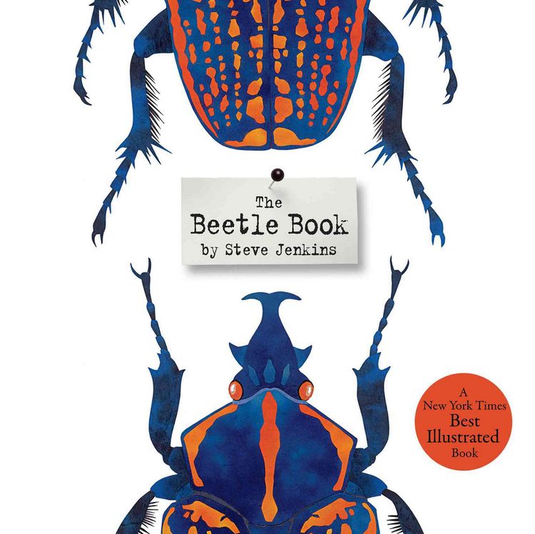 Produktbild: The Beetle Book