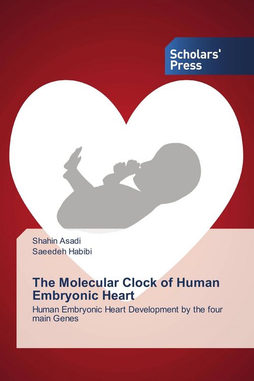 Produktbild: The Molecular Clock of Human Embryonic Heart