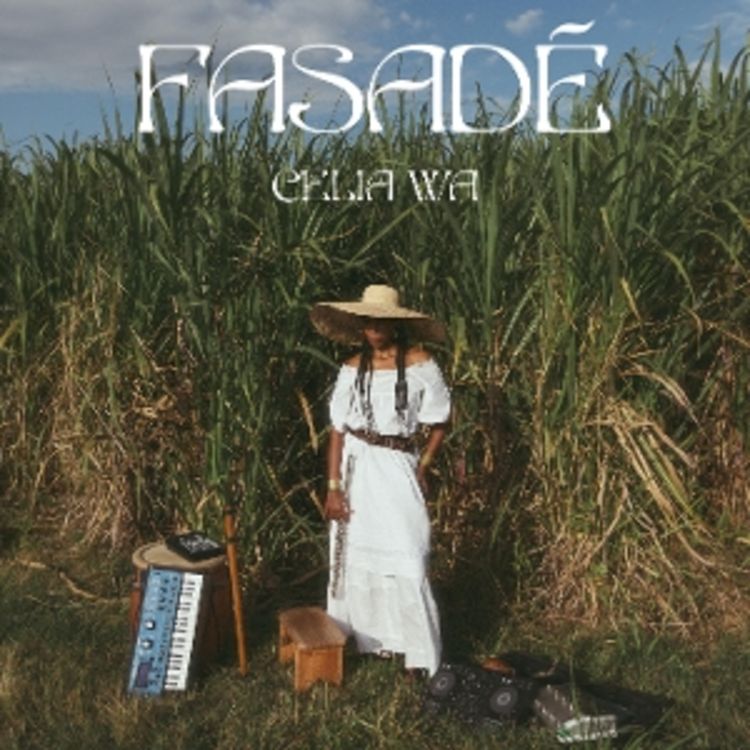 Fasade (180Gr.)