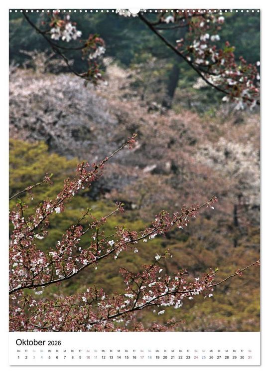 Produktbild: Japan - Kirschbl&uuml;ten (Wandkalender 2026 DIN A2 hoch), CALVENDO Monatskalender