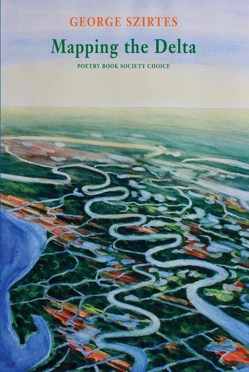 Produktbild: Mapping the Delta