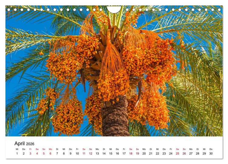 Produktbild: T&uuml;rkei, Antalya: Urlaubsparadies am Mittelmeer (Wandkalender 2026 DIN A4 quer), CALVENDO Monatskalender