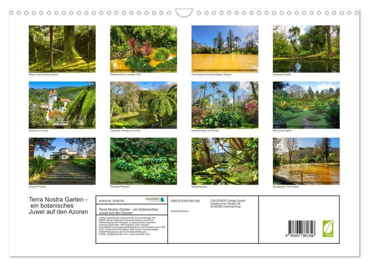 Produktbild: Terra Nostra Garten - ein botanisches Juwel auf den Azoren (Wandkalender 2026 DIN A3 quer), CALVENDO Monatskalender