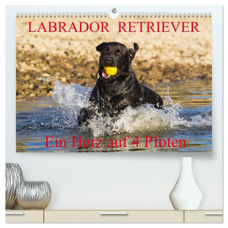 Produktbild: Labrador Retriever - ein Herz auf 4 Pfoten (hochwertiger Premium Wandkalender 2026 DIN A2 quer), Kunstdruck in Hochglanz