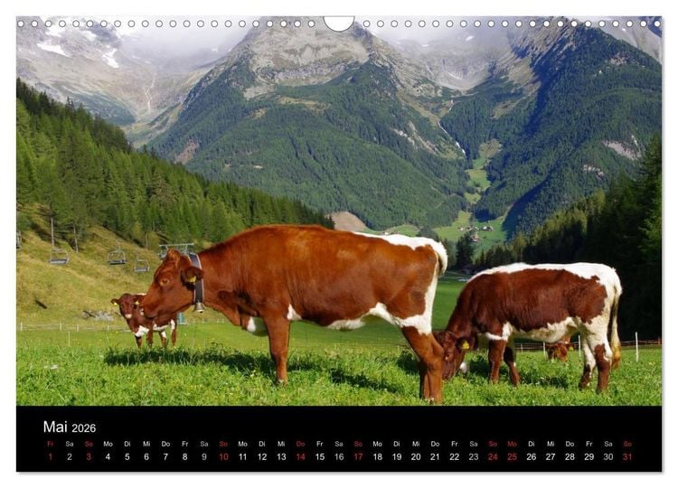 Produktbild: S&uuml;dtirol 2026 (Wandkalender 2026 DIN A3 quer), CALVENDO Monatskalender