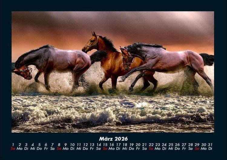 Produktbild: Pferdegefl&uuml;ster 2026 Fotokalender DIN A4