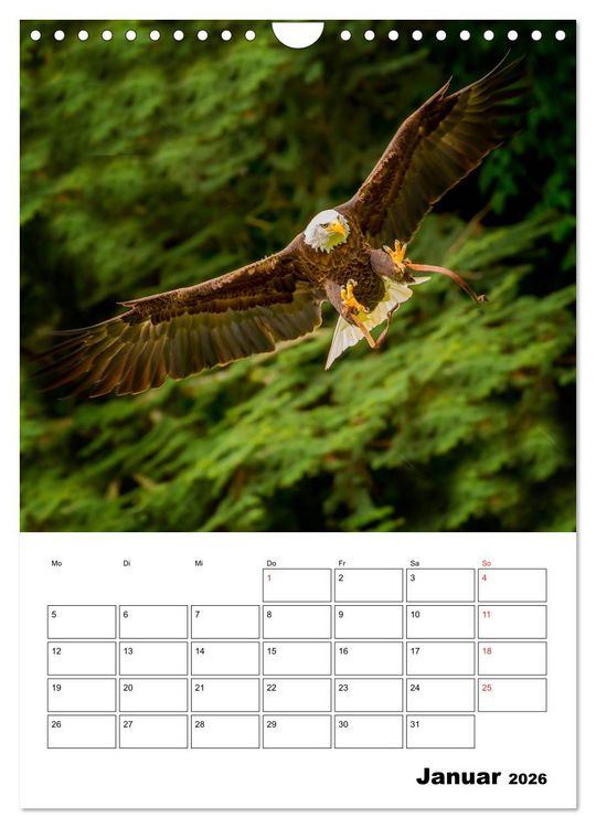 Produktbild: Raub- und Greifv&ouml;gel im Flug (Wandkalender 2026 DIN A4 hoch), CALVENDO Monatskalender