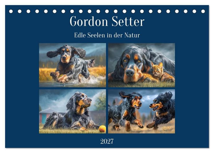 Produktbild: Gordon Setter. Edle Seelen in der Natur (Tischkalender 2027 DIN A5 quer), CALVENDO Monatskalender