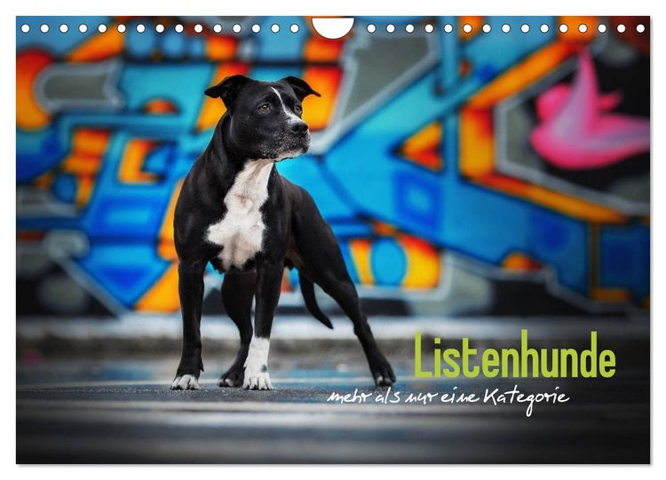 Produktbild: Listenhunde - mehr als nur eine Kategorie (Wandkalender 2026 DIN A4 quer), CALVENDO Monatskalender