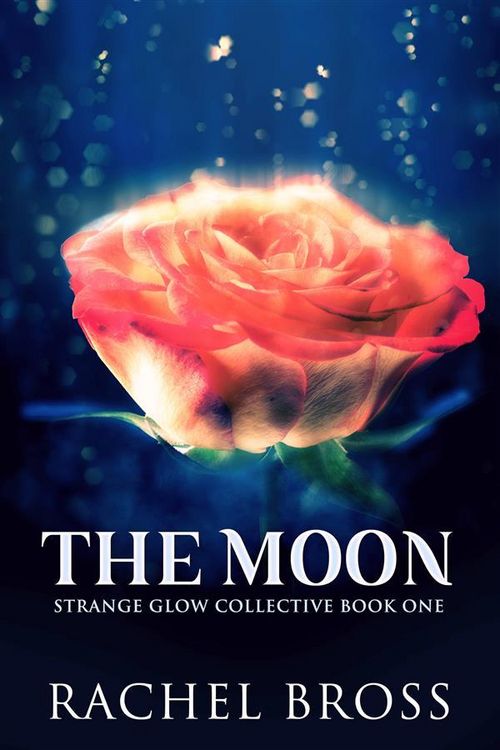 Produktbild: The Moon