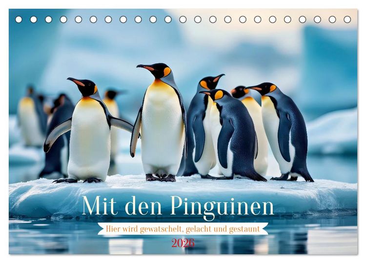 Produktbild: Mit den Pinguinen (Tischkalender 2026 DIN A5 quer), CALVENDO Monatskalender