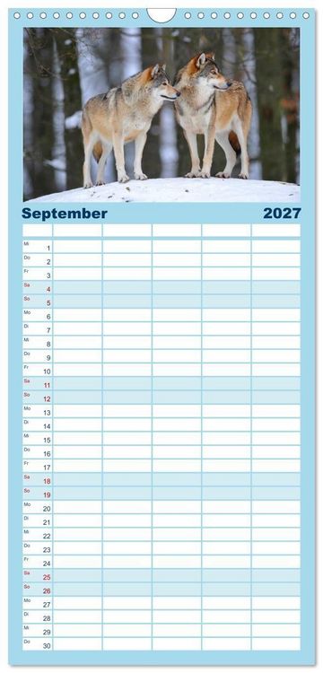 Produktbild: Familienplaner 2027 - Kanadische W&ouml;lfe im Winter mit 5 Spalten (Wandkalender, 21 x 45 cm) CALVENDO