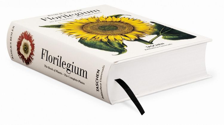 Produktbild: Basilius Besler. L'Herbier. Hortus Eystettensis