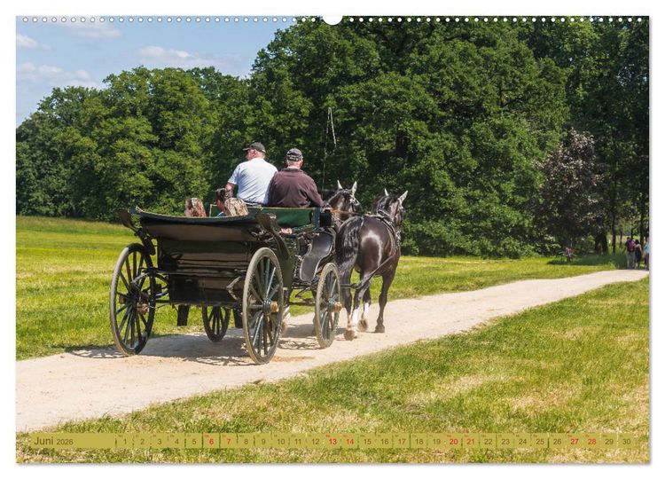 Produktbild: Parkgemeinde Kromlau (Wandkalender 2026 DIN A2 quer), CALVENDO Monatskalender