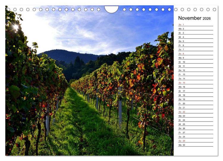 Produktbild: Landschaften des Kraichgaus (Wandkalender 2026 DIN A4 quer), CALVENDO Monatskalender