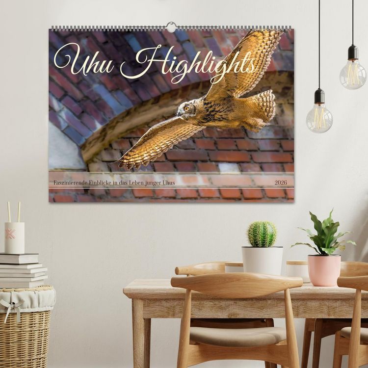 Produktbild: Uhu Highlights (Wandkalender 2026 DIN A2 quer), CALVENDO Monatskalender
