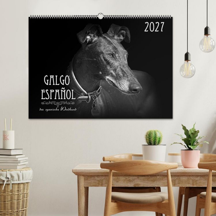 Produktbild: Galgo Espa&ntilde;ol - der spanische Windhund 2027 (Wandkalender 2027 DIN A2 quer), CALVENDO Monatskalender