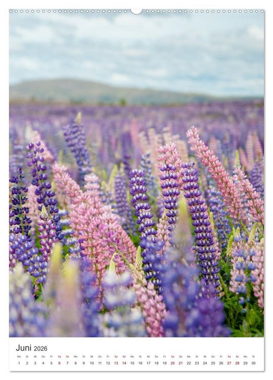 Produktbild: Neuseeland - Das Traumland schlechthin. (hochwertiger Premium Wandkalender 2026 DIN A2 hoch), Kunstdruck in Hochglanz