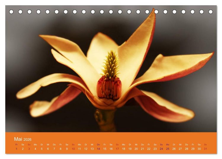 Produktbild: Fantastische Reise in die Welt der Blumen (Tischkalender 2026 DIN A5 quer), CALVENDO Monatskalender